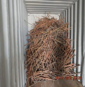Brass Tubes (Pales)