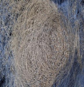 Hair Wire